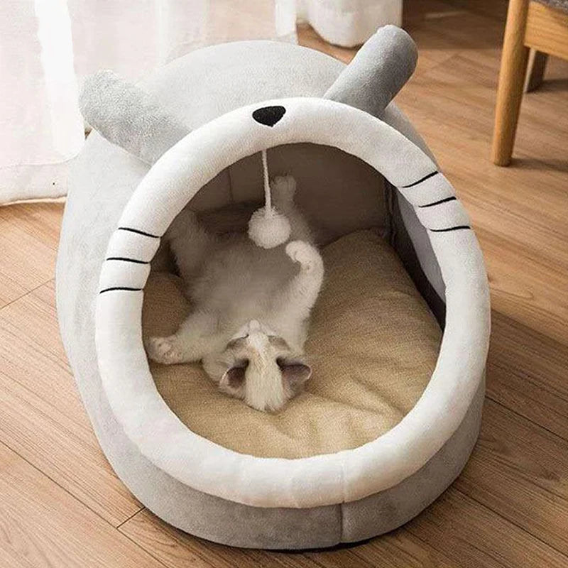 Abri pour Chat d'Intérieur Chic
