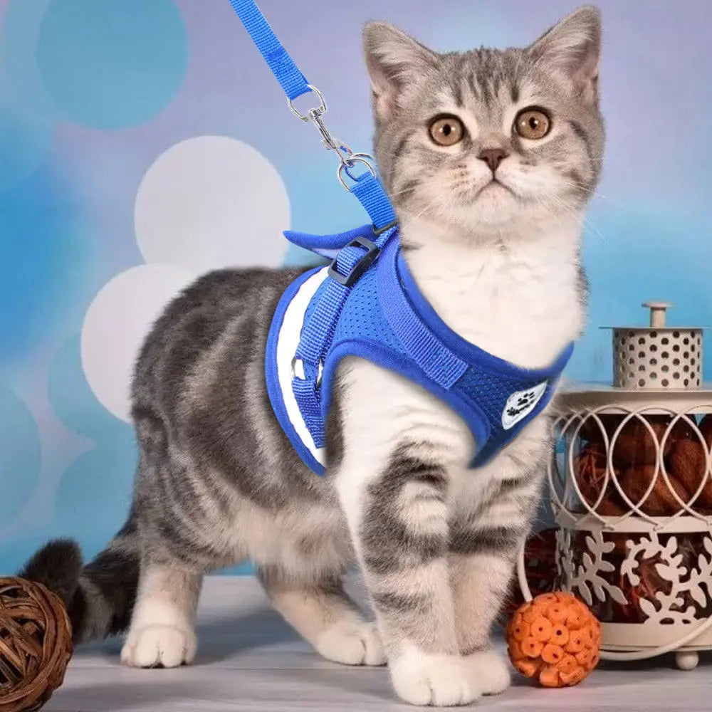 Laisse et Harnais Réfléchissant pour Chat