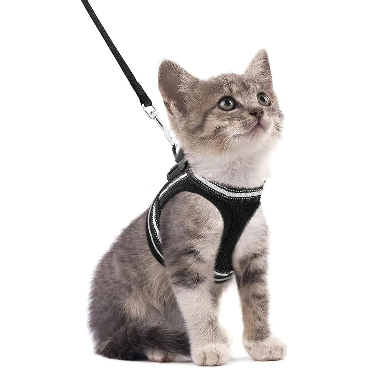 Harnais pour Chat avec Bande Réfléchissante