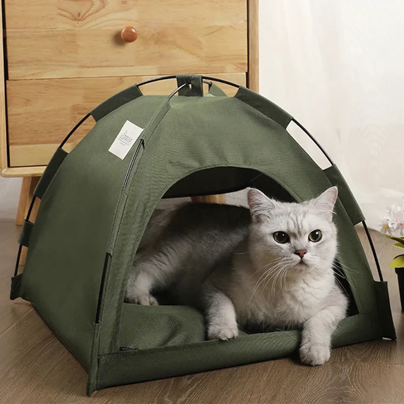 Cabane pour Chat d'Intérieur