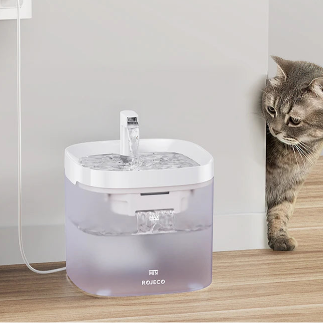 Distributeur Automatique d'Eau pour Chat