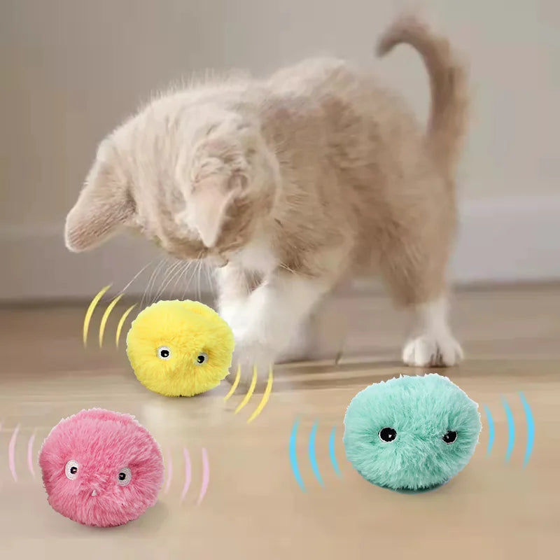 Balle Electrique Pour Chat