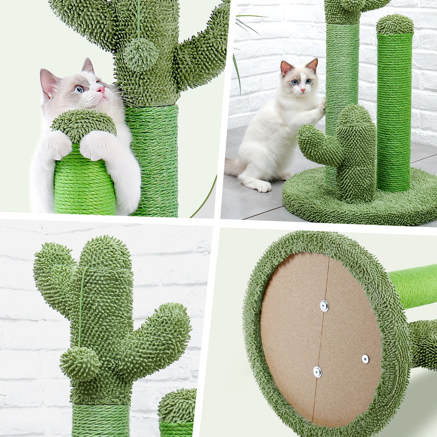 Arbre à Chat Cactus