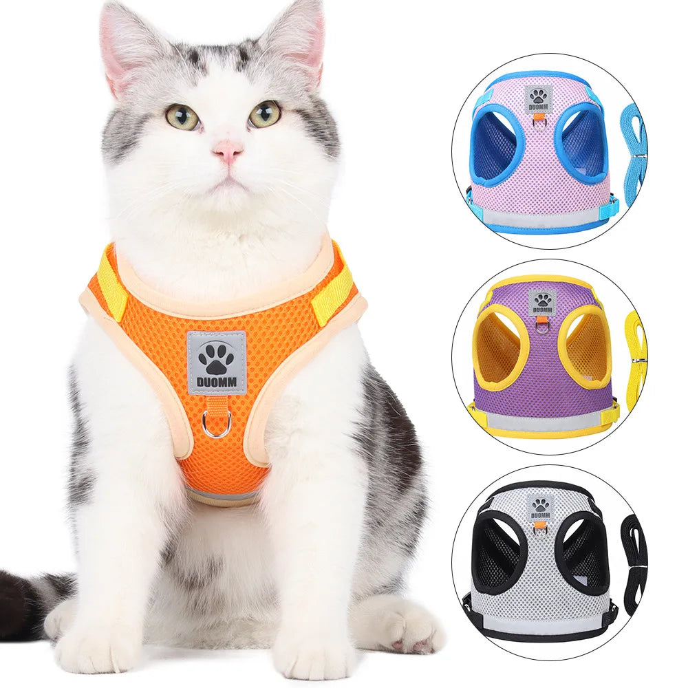 Harnais pour Chat Confort