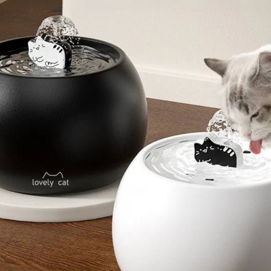 Fontaine à Eau Design pour Chat