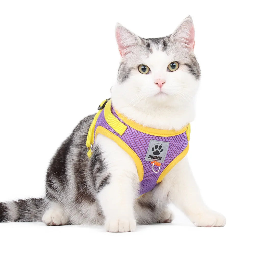 Harnais pour Chat Confort