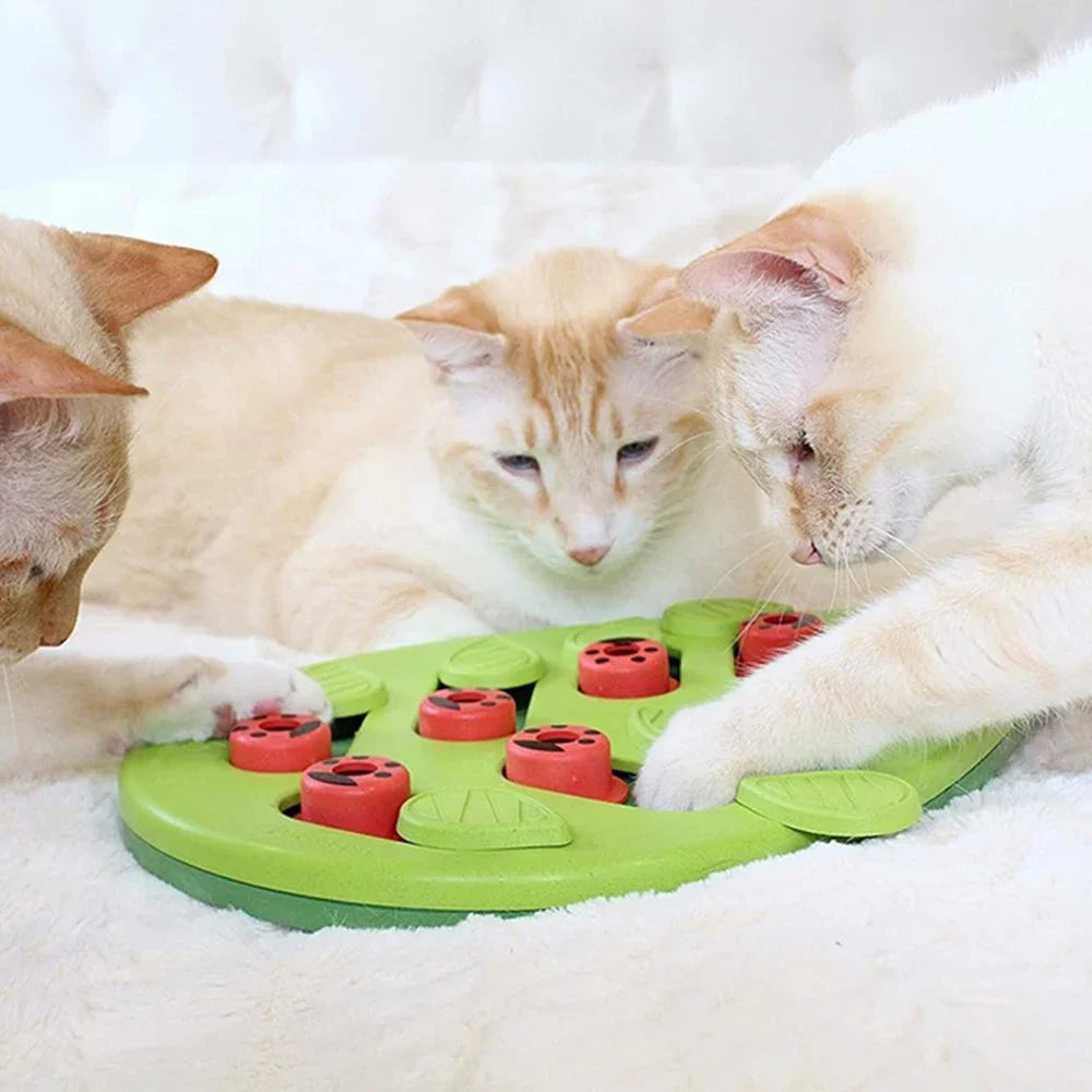 Puzzle Interactif pour Chat