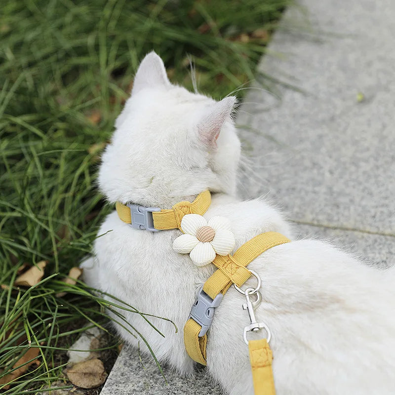 Harnais Fleur pour chat