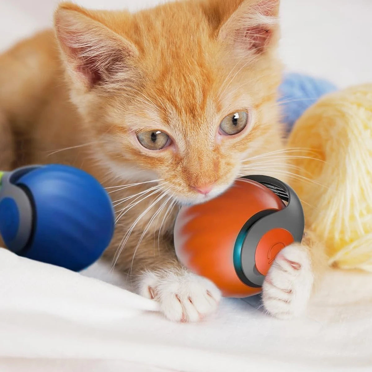 Balle Mobile pour Chat