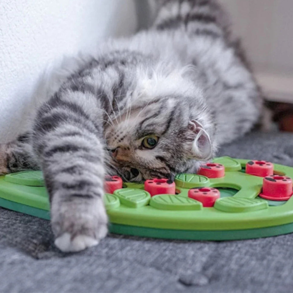 Puzzle Interactif pour Chat