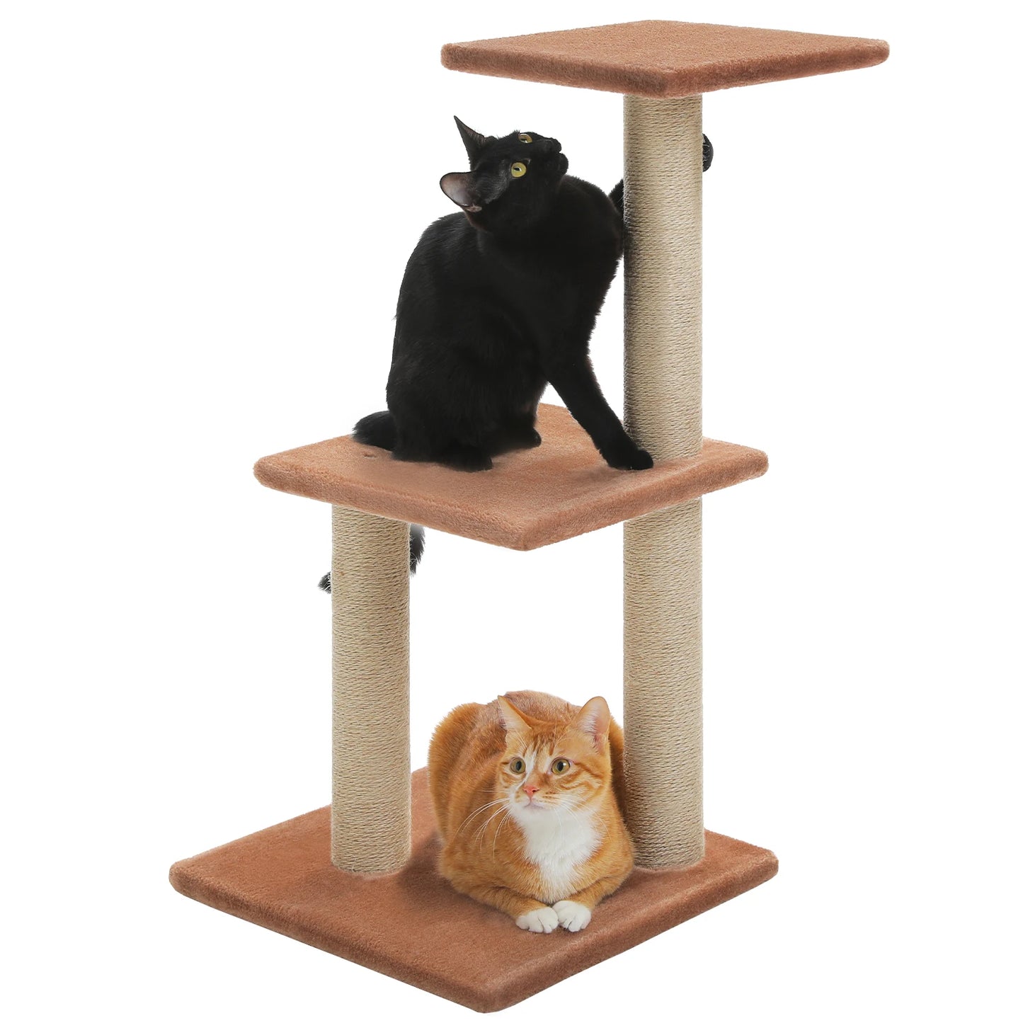 Petit Arbre à Chat