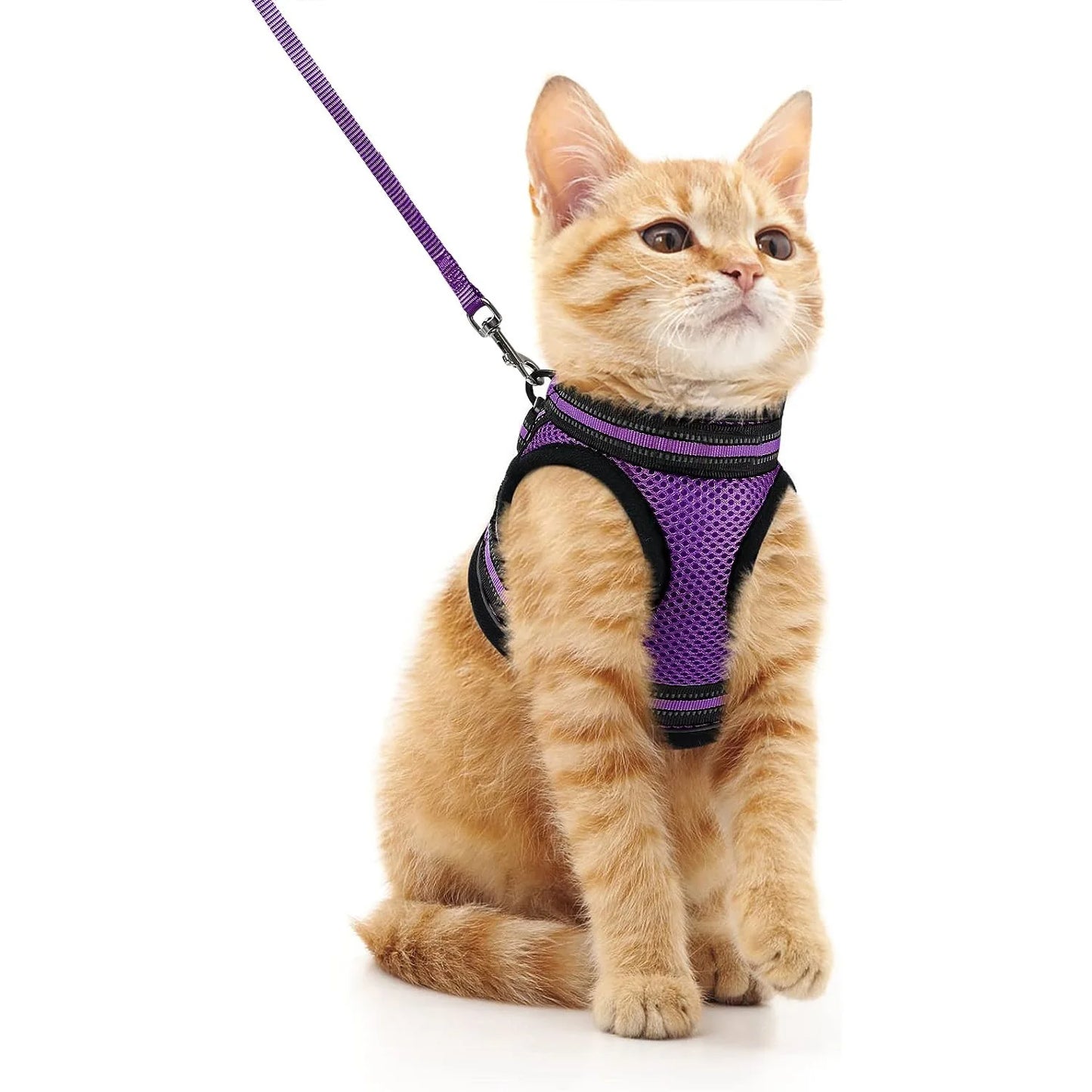 Harnais pour Chat avec Bande Réfléchissante