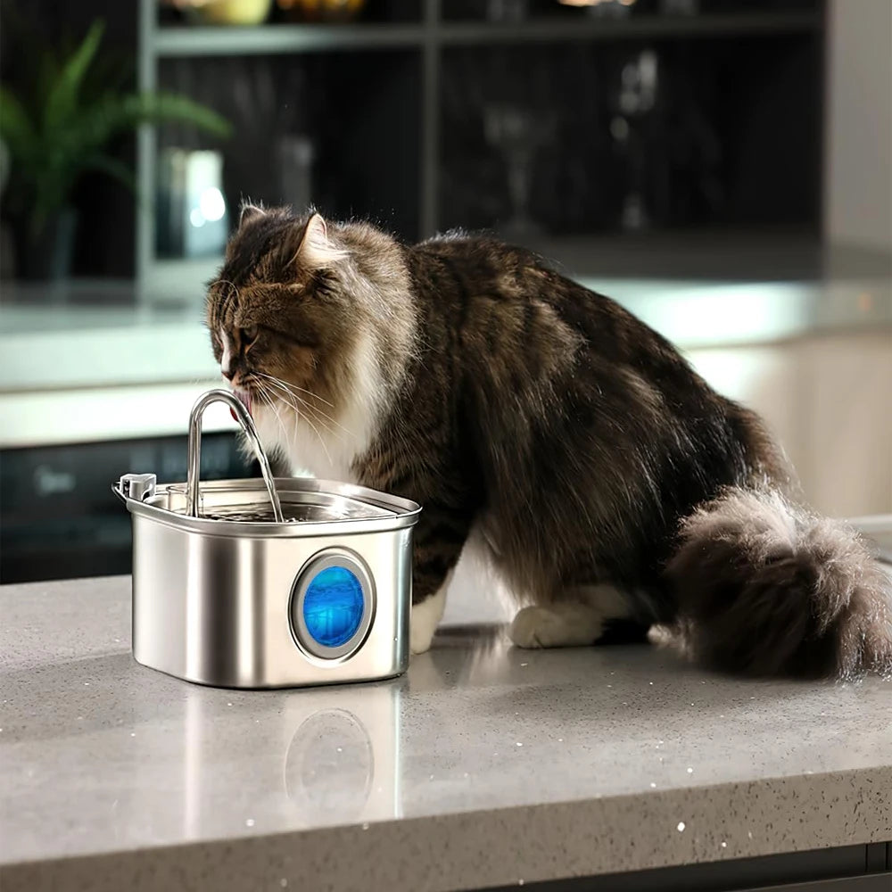 Distributeur d'Eau Intelligent pour Chat