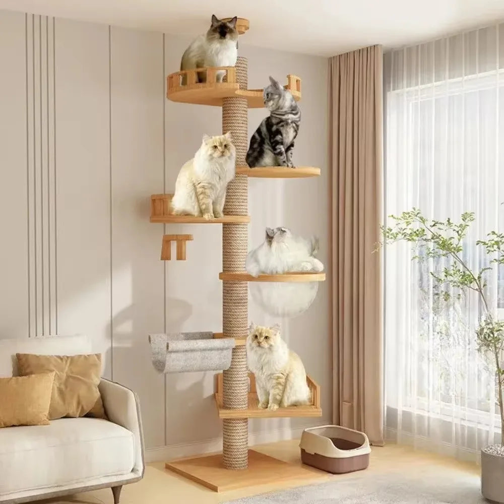 Grand Arbre à Chat du Sol au Plafond