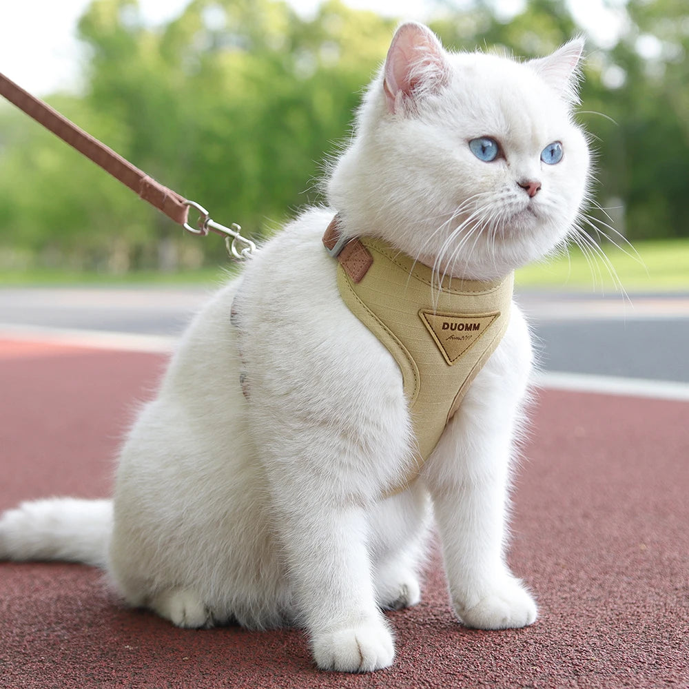 Harnais pour chat
