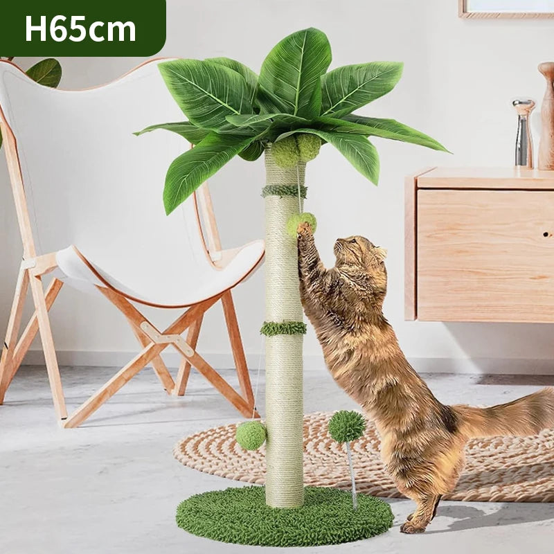 Arbre à Gratter Palmier pour Chat