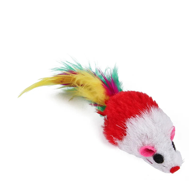 Kit De Jouets Interactifs pour Chat