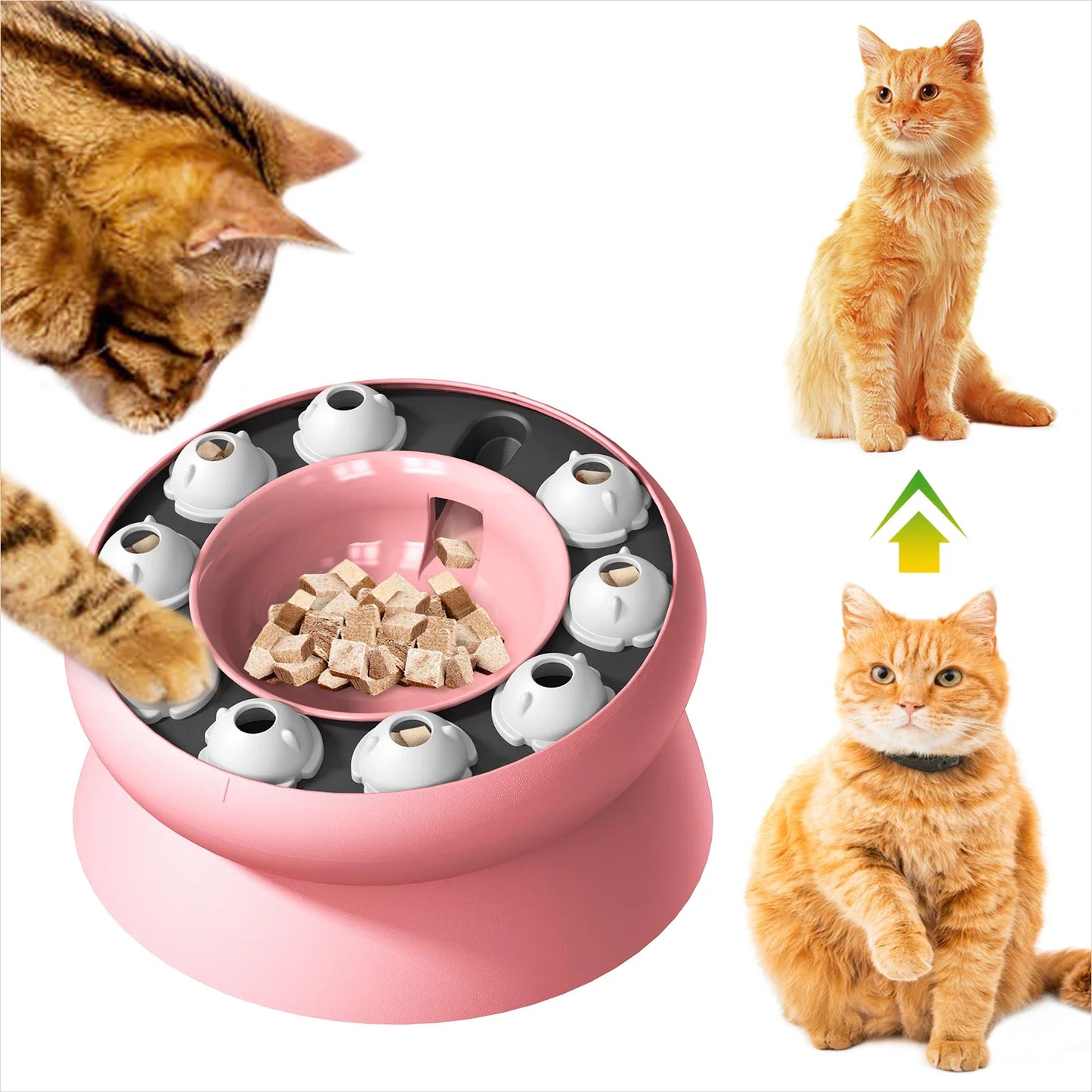 Puzzle pour Chat Interactif