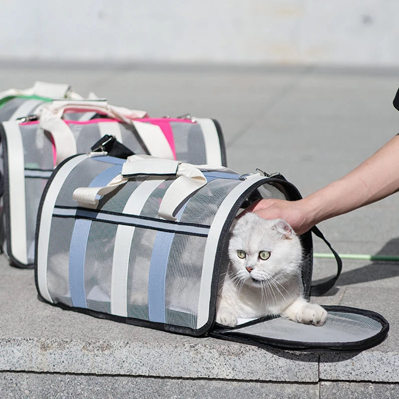 Sac de Transport pour Chat en Toile