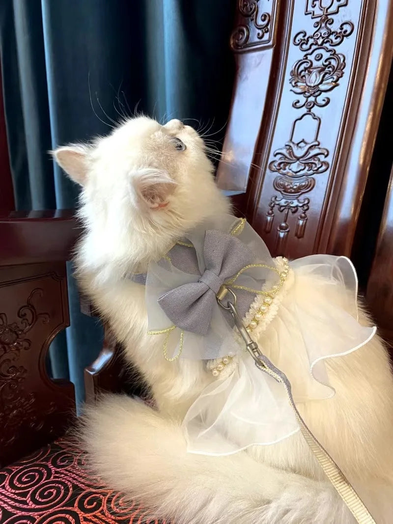Harnais pour Chat Princesse