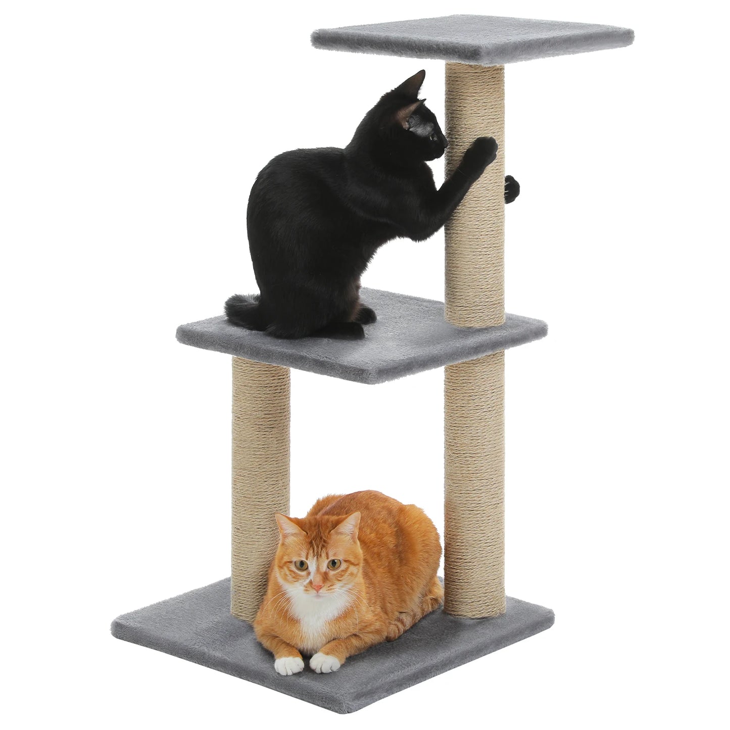 Petit Arbre à Chat