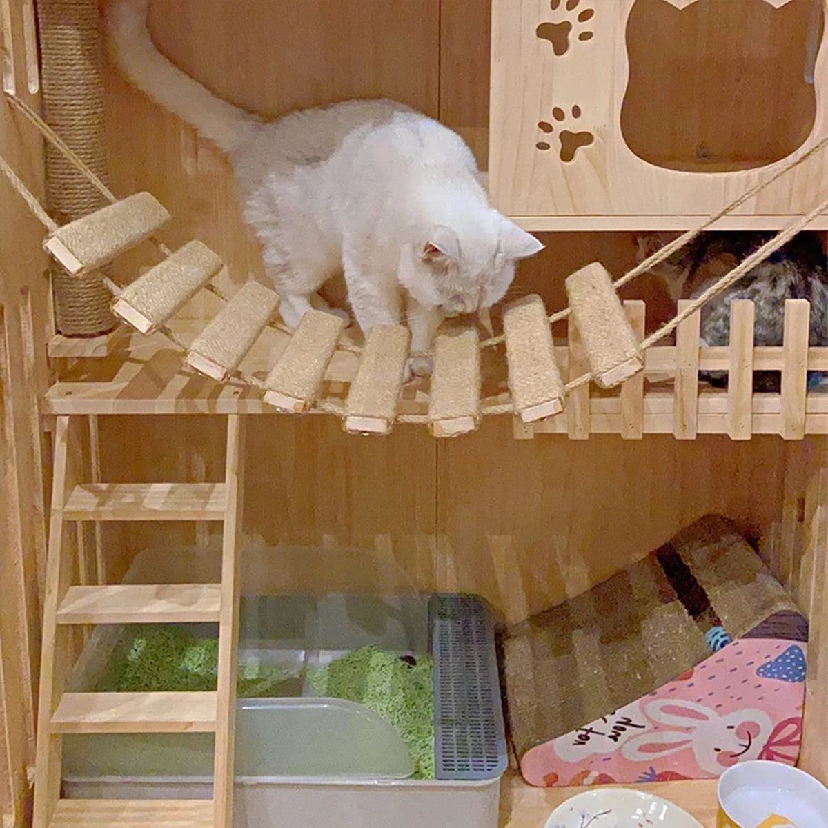 Echelle en Bois pour Chat