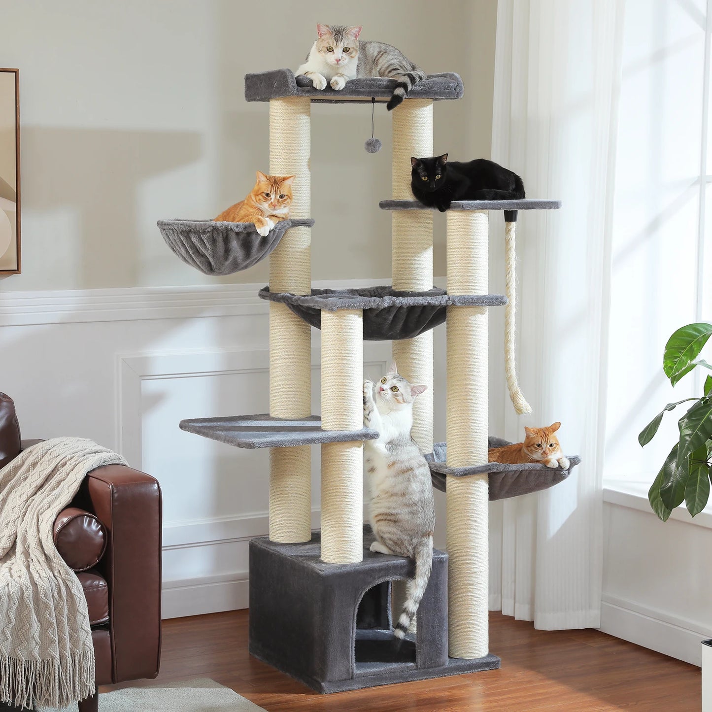 Grand Arbre à Chat