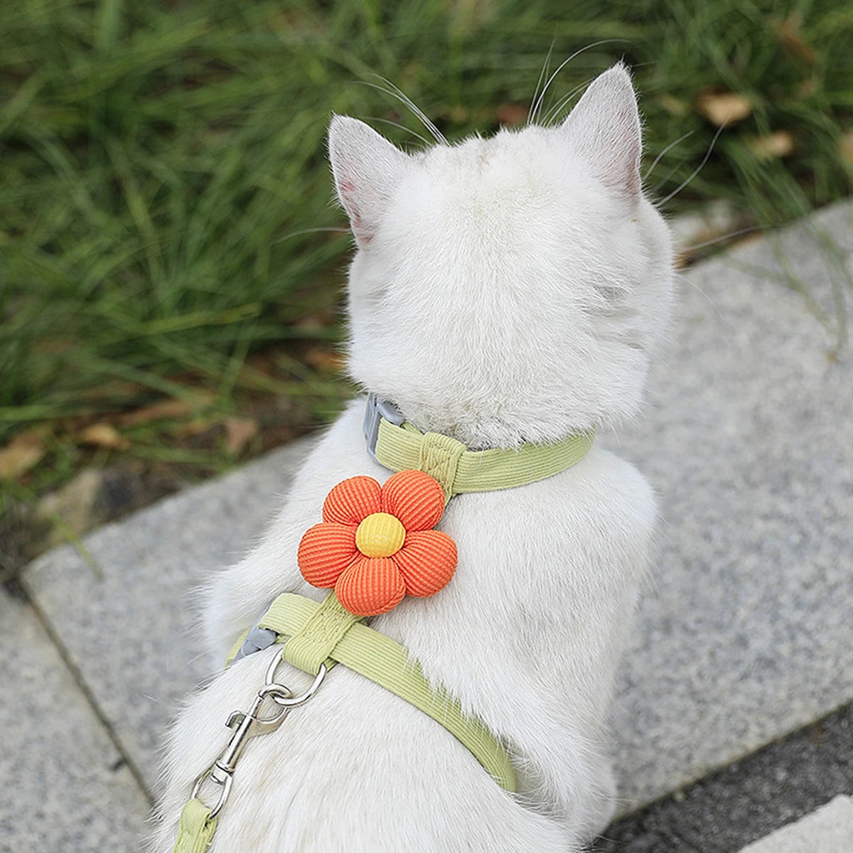 Harnais Fleur pour chat