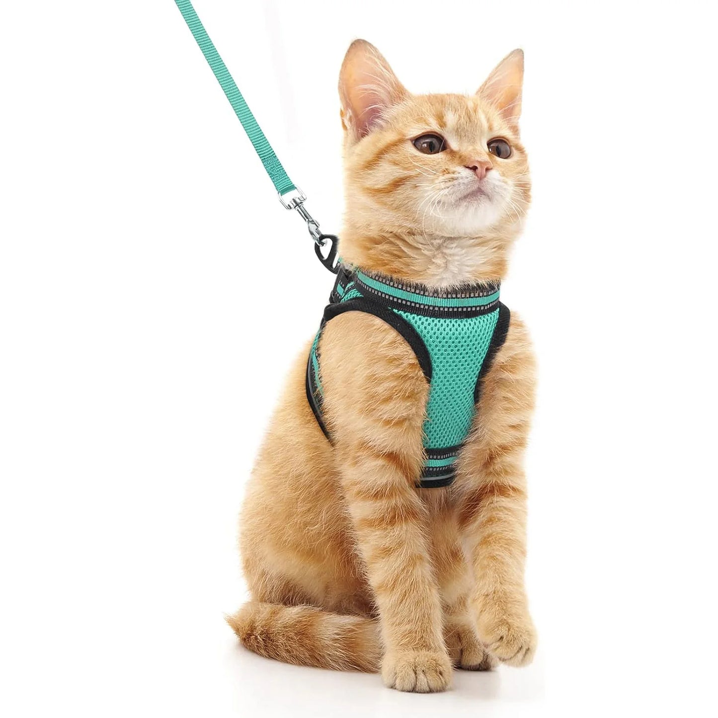 Harnais pour Chat avec Bande Réfléchissante