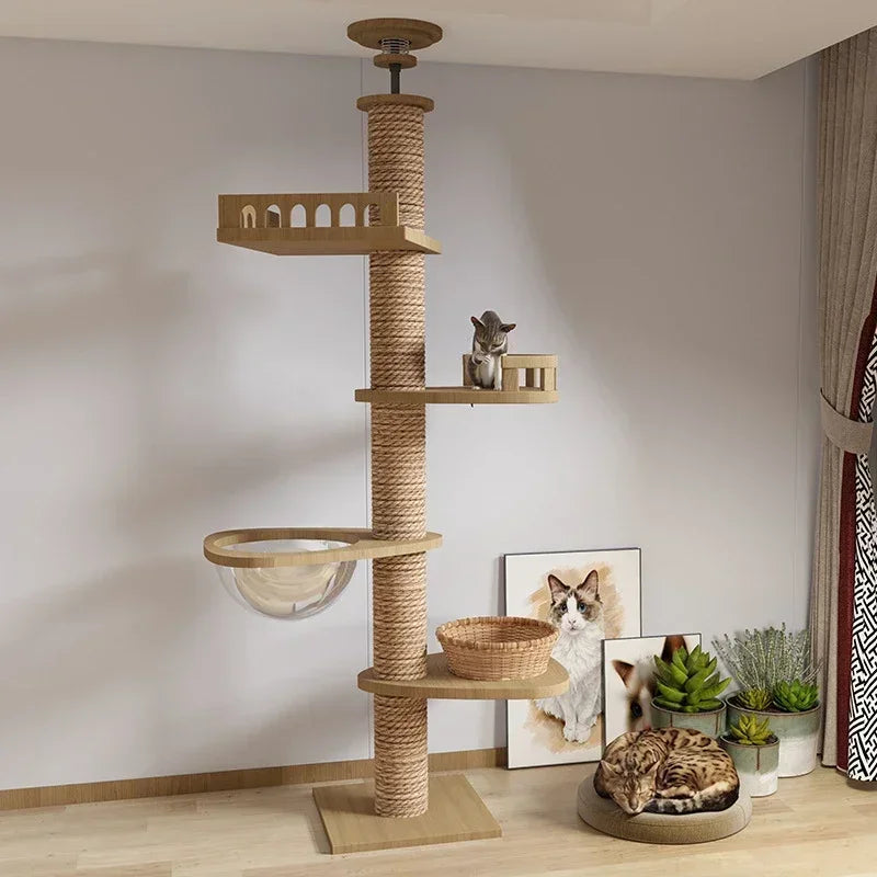 Grand Arbre à Chat du Sol au Plafond