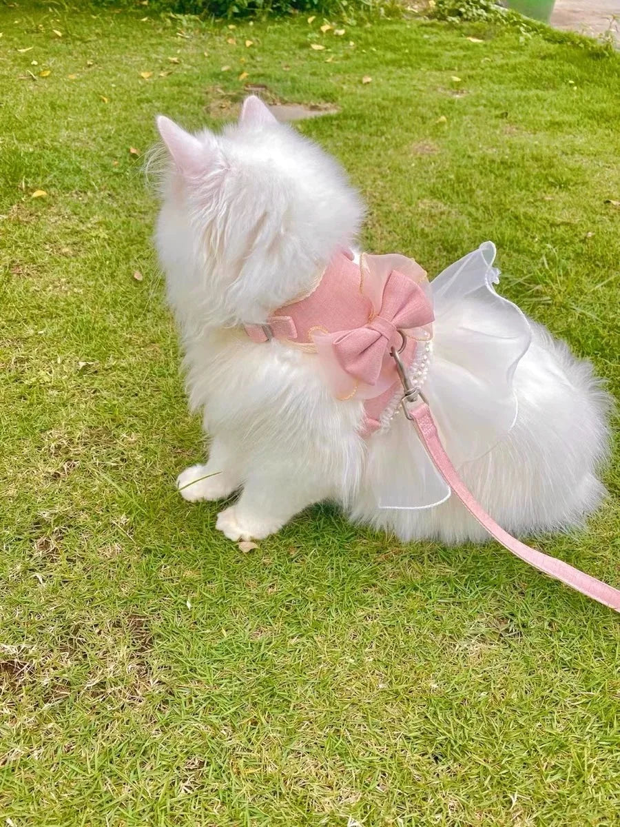 Harnais pour Chat Princesse