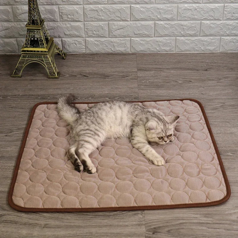 Tapis de Refroidissement pour Chat d'Intérieur