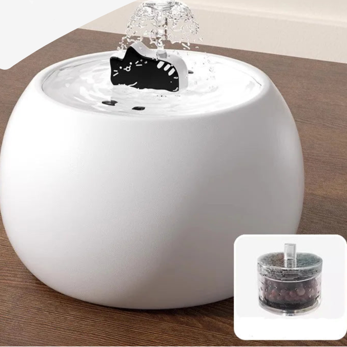 Fontaine à Eau Design pour Chat