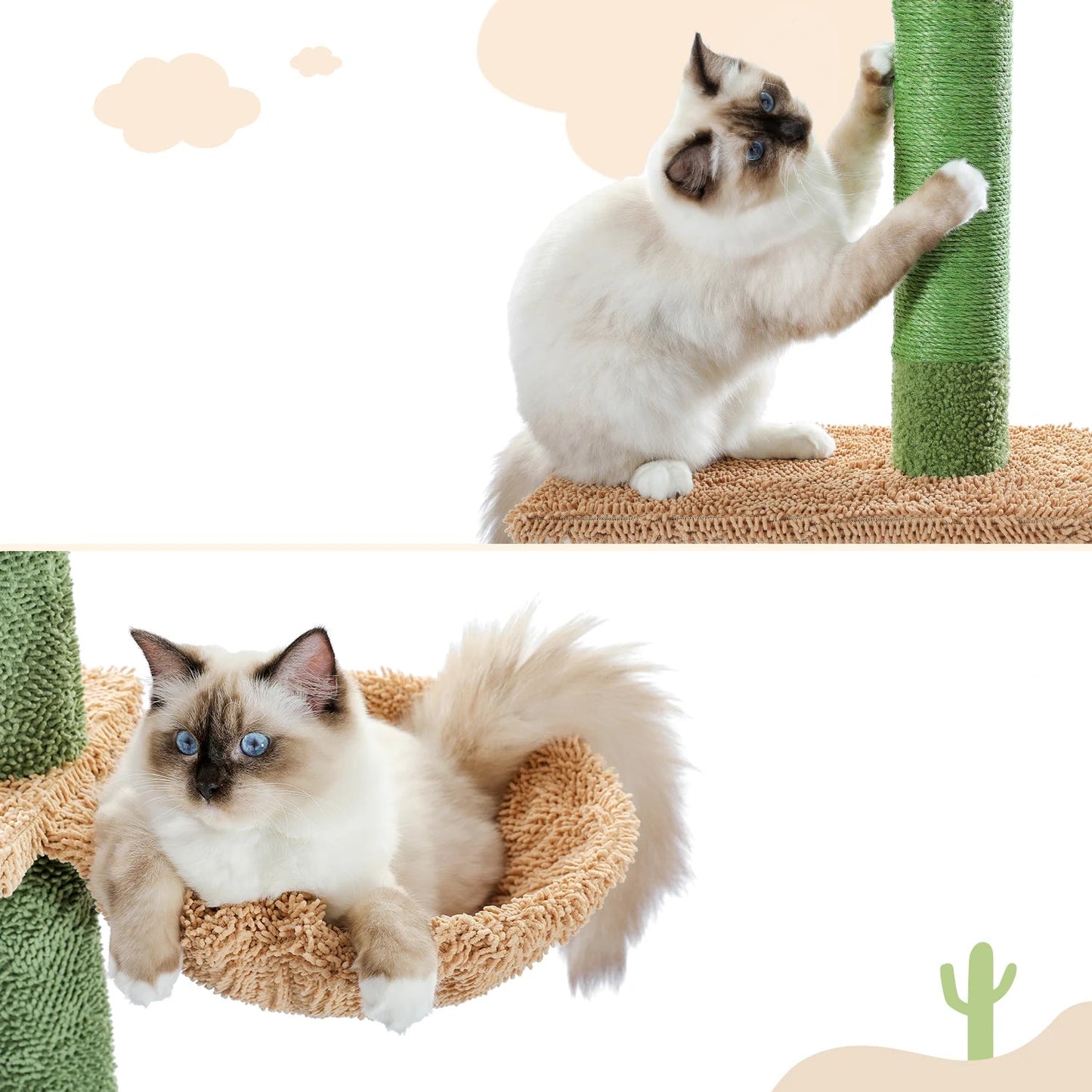 Tour pour Chat Fixation Plafond