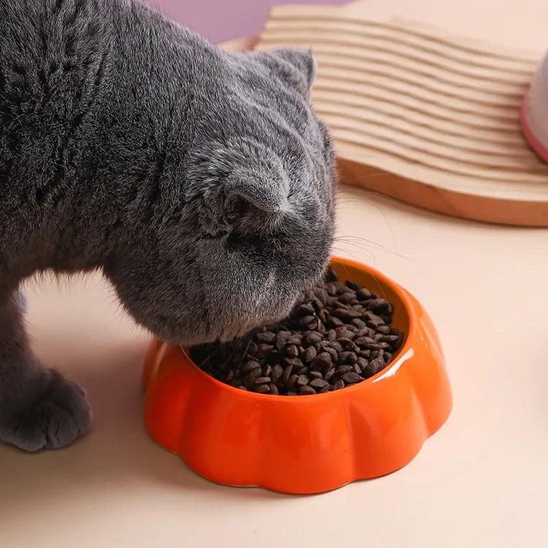 Bol Fruit Design pour Chat