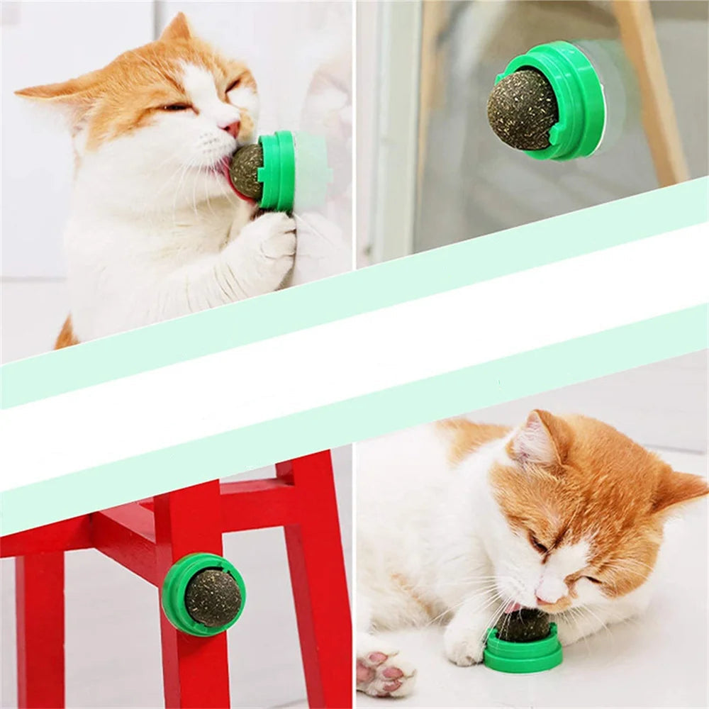 Boule d'Herbe à Chat Naturelle à Lécher