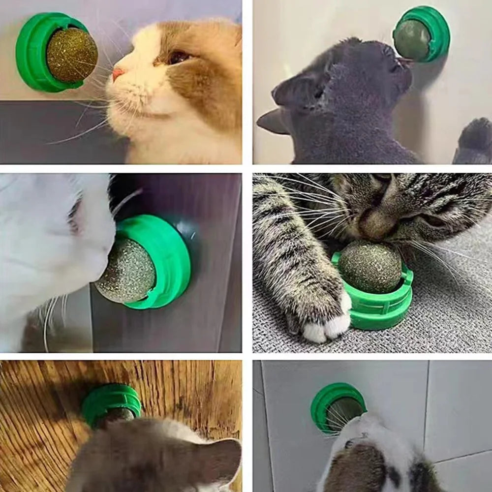 Boule d'Herbe à Chat Naturelle à Lécher