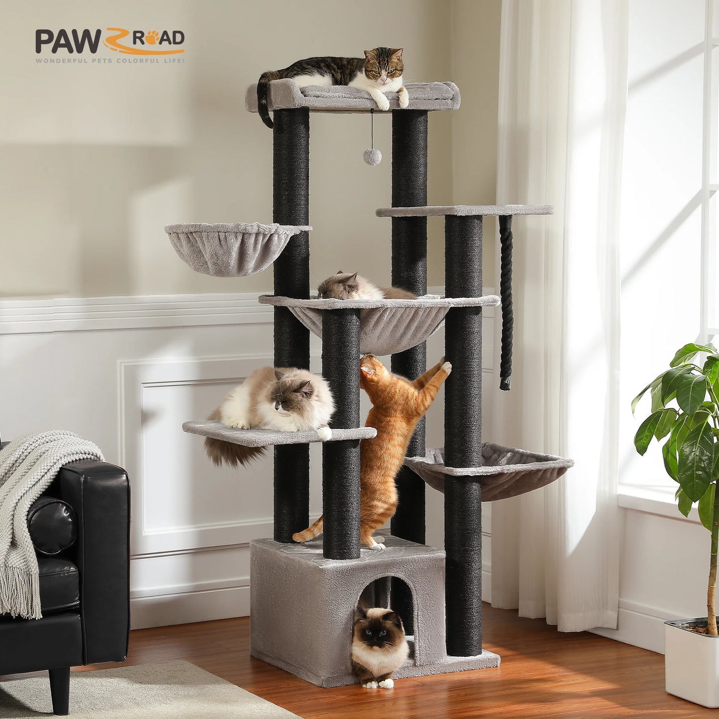 Grand Arbre à Chat
