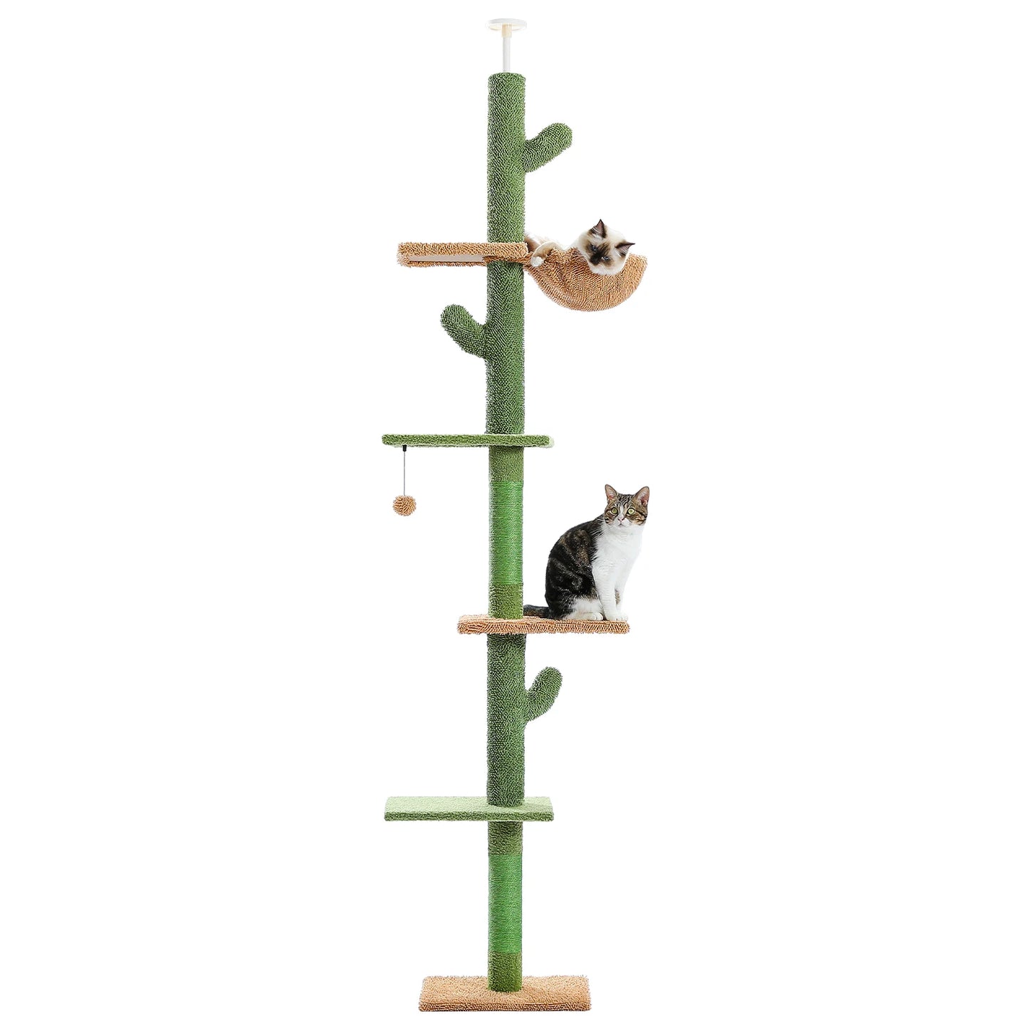 Tour pour Chat Fixation Plafond