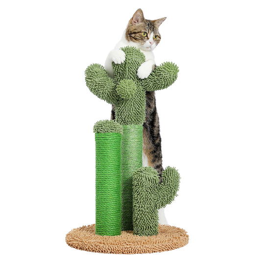 Arbre à Chat Cactus