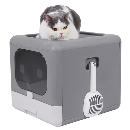 Bac à Litière pour Chat Pliable