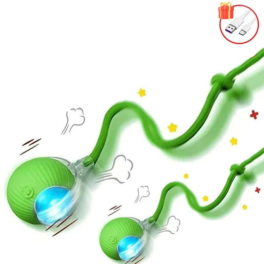 Balle Interactive pour Chat