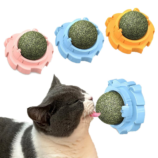 Boule d'Herbe à Chat Naturelle à Lécher