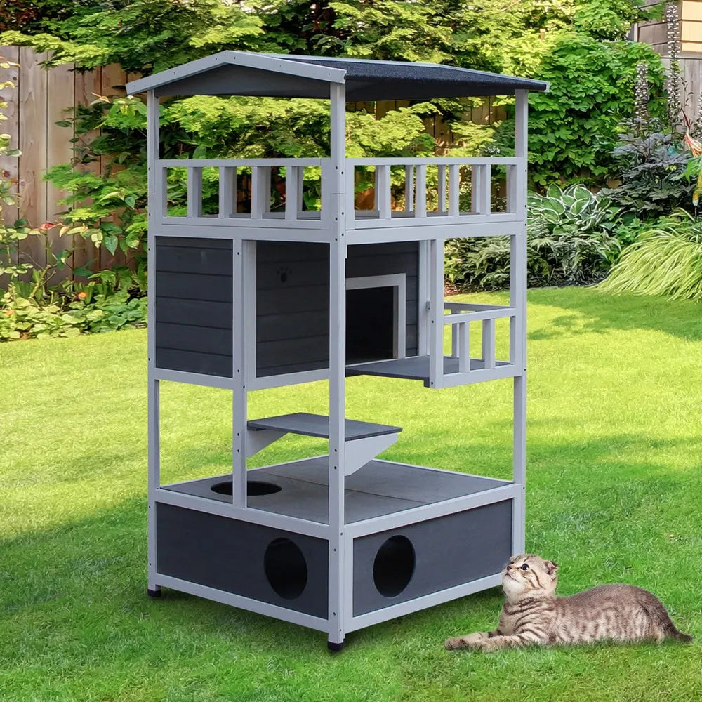 Maison pour Chat Grande Capacité