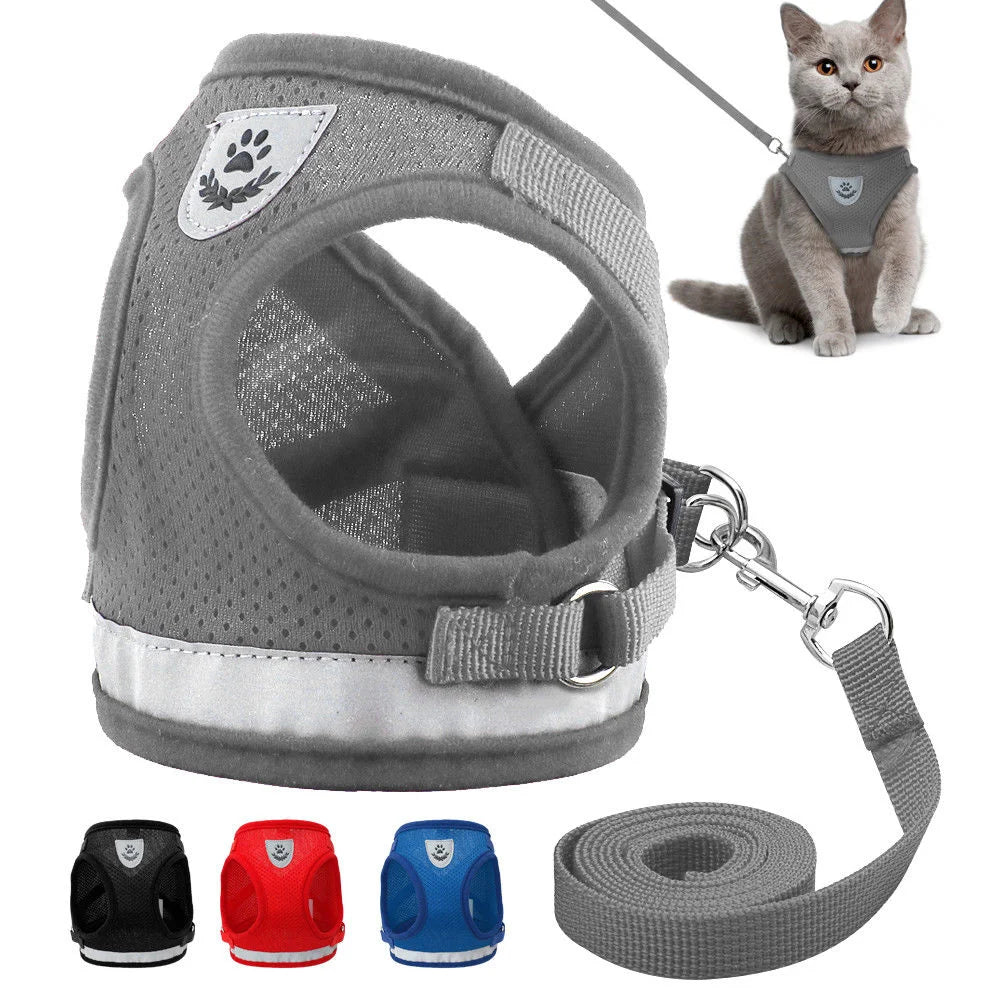 Laisse et Harnais Réfléchissant pour Chat