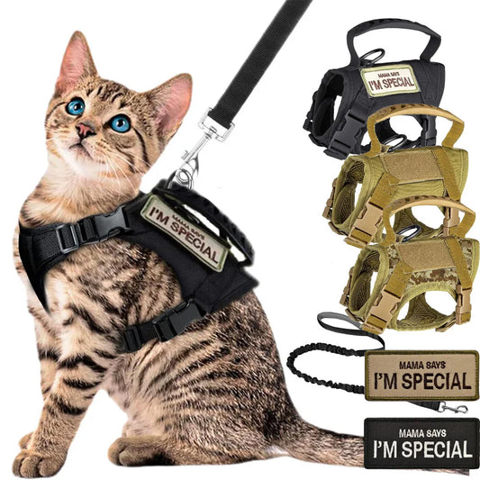 Harnais de Randonnée pour Chat