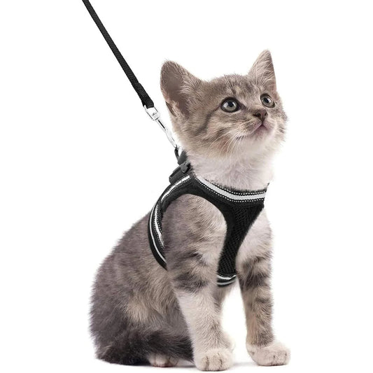 Harnais pour Chat avec Bande  Réfléchissante