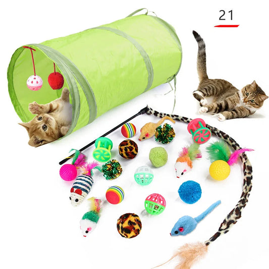 Kit De Jouets Interactifs pour Chat
