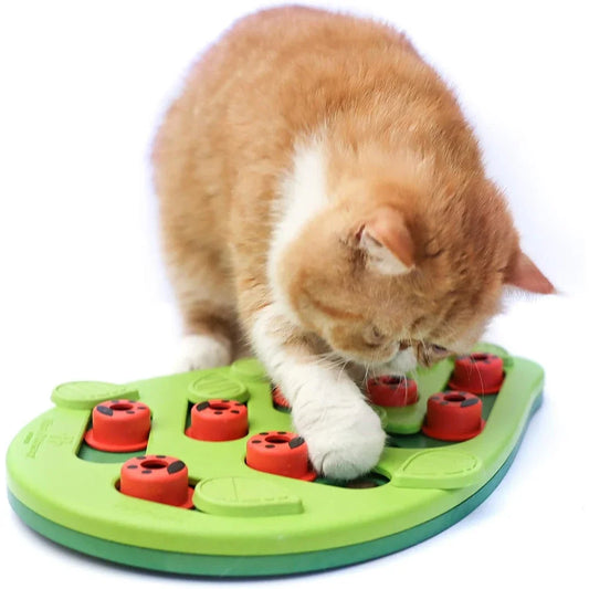 Puzzle Interactif pour Chat