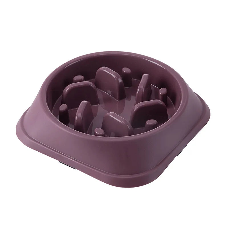 Gamelle Anti Glouton
